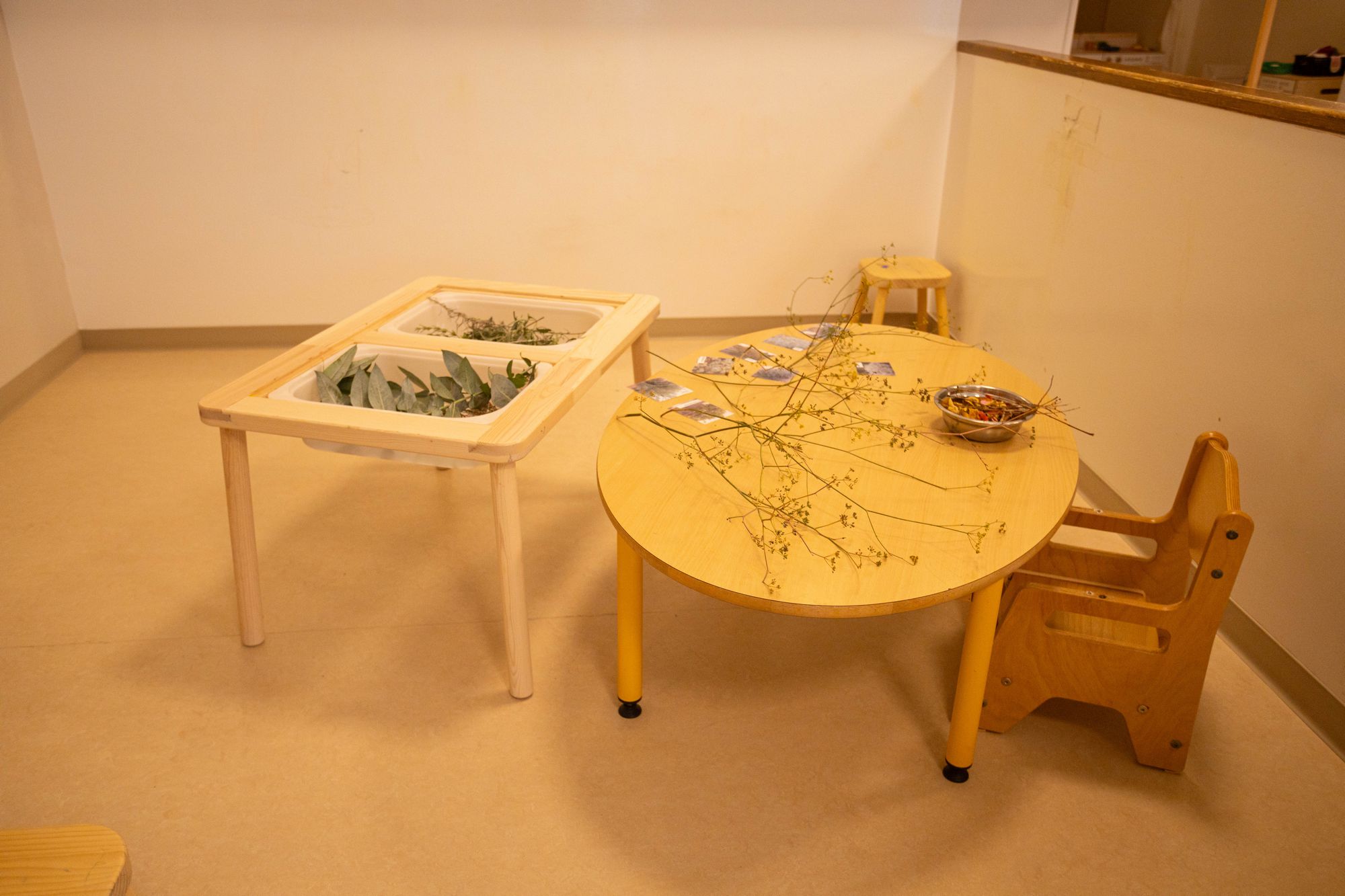 images/galerie-creche-chrysalide-sete/10-chrysalide_sete.jpg